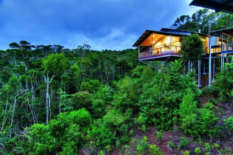 Rainforest Retreat 